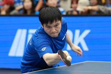 评论｜意外失利不可怕，樊振东可以慢慢来